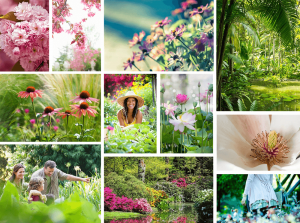branding projects brooklyn-botanic-garden-nyc-imagery-logo-design-branding-flower-plants